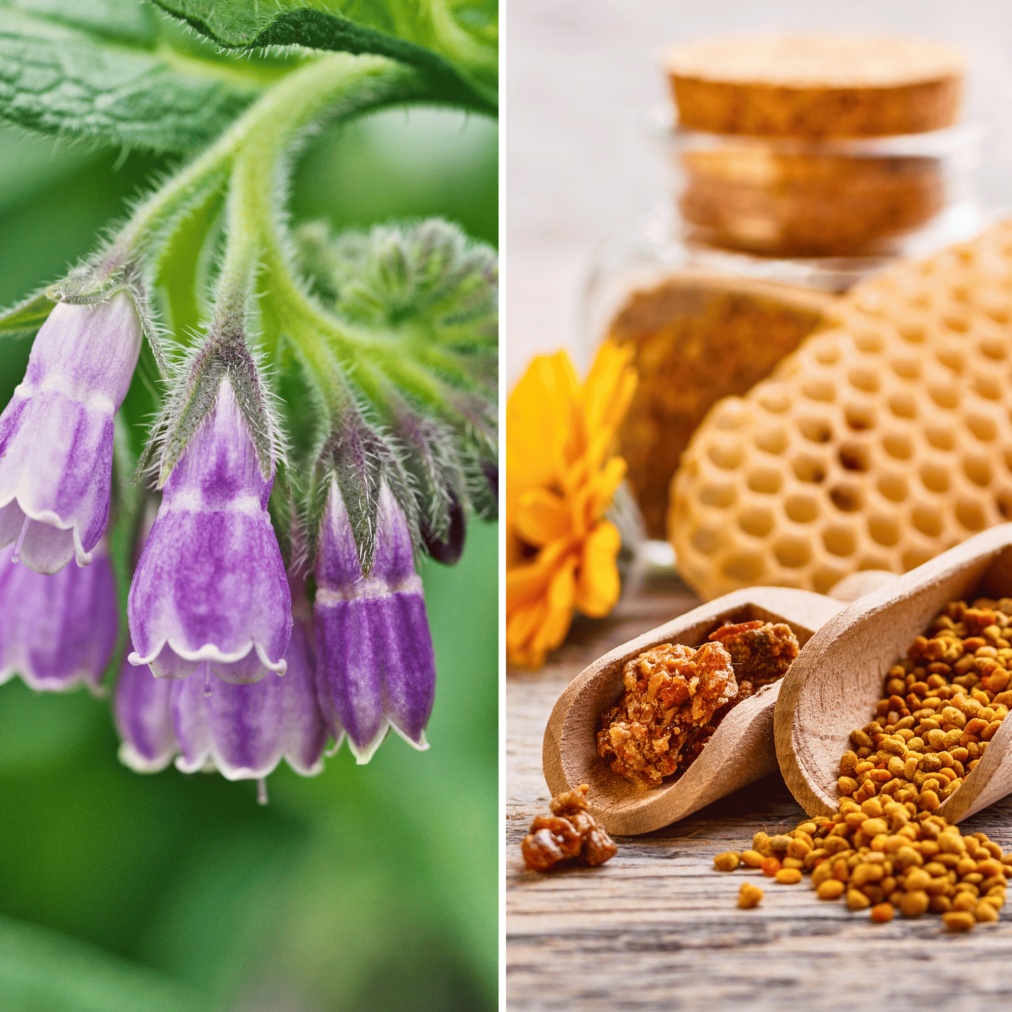 Senzio™ Miracle Balm Herbal Powerhouse